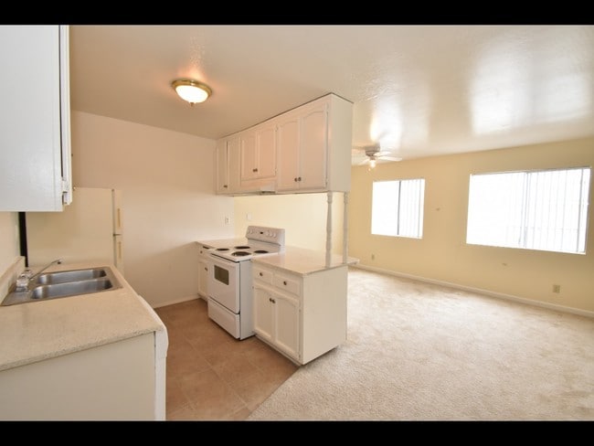 STANDARD MODEL - Sunset Views