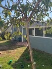 Photo - 6318 Haviland Ave