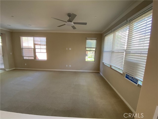 Photo - 219 Overbrook