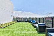 Photo - Draco Apartments