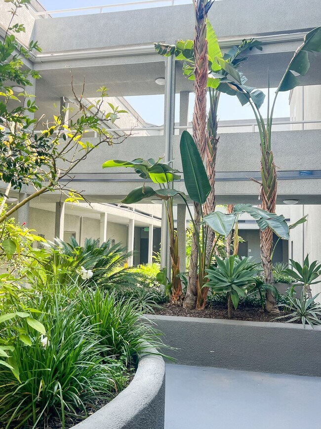 Photo - Cambridge Court Apartments