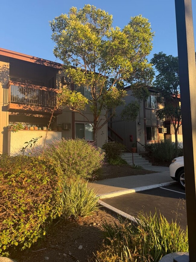 Building Photo - 5422 Adobe Falls Rd Unit 16