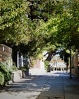 Up the block from G00gle offices. - 504 Pacific Ave Townhome