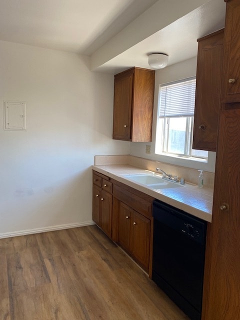 Kitchen Window/Dishwasher - 1304 Amethyst St Apartments Unit D