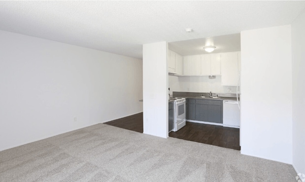 Floor Plan - Studio Classic