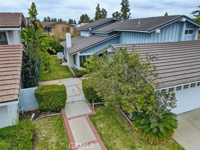 Photo - 8 Sparrowhawk