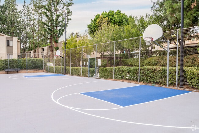 Basketball Courts - Tamarack Woods Apartment Homes