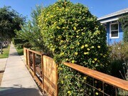 Photo - 1727 Franklin St