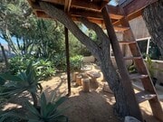 Photo - 3601 Wasatch Ave House