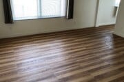 Studio: Lrge Room; Beautiful floor - 1517 11th St Apartments