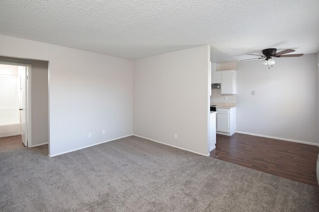 Photo - Palm Estates Apartments