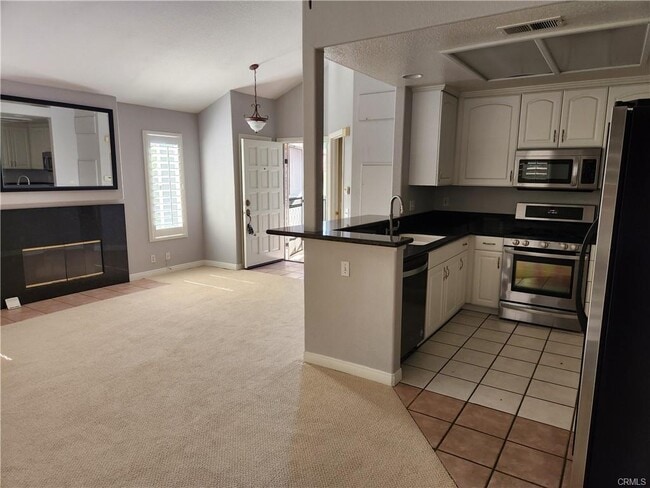 Photo - 78 Cinnamon Teal