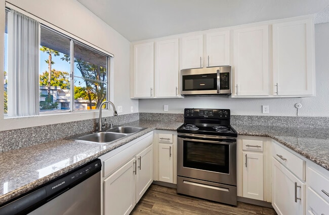 Photo - Trolley Palm