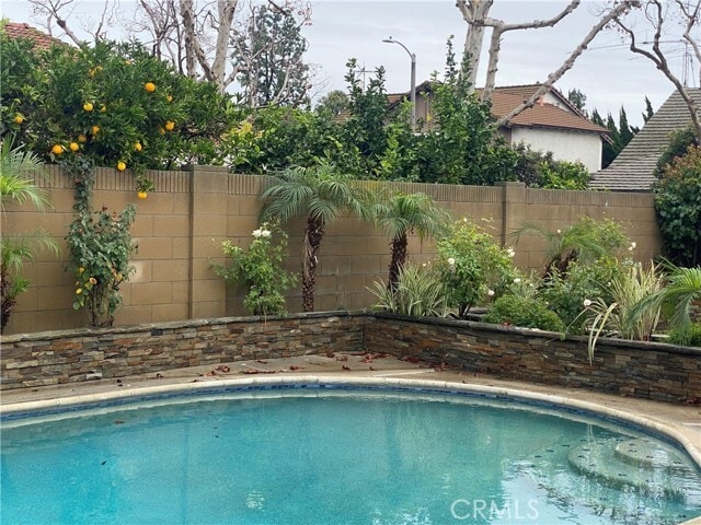 Photo - 16720 Amberwood Way