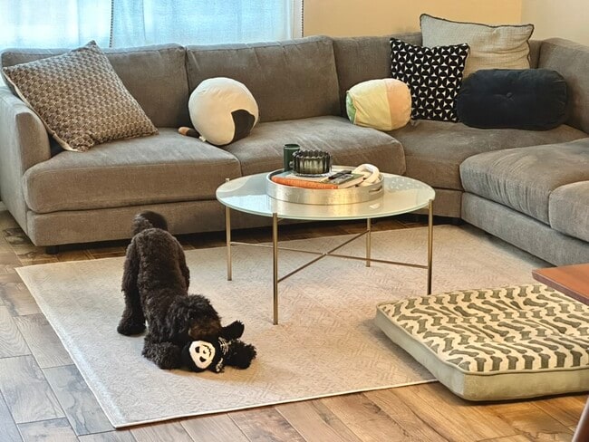 Photo - 537 N Adams St Unit 217