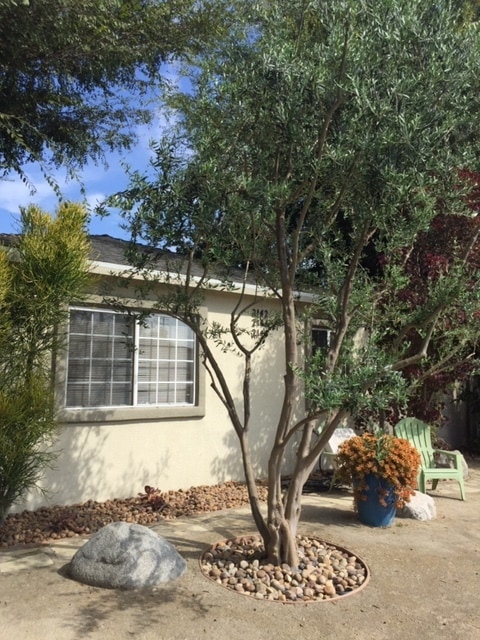 Front Yard - 2144 S Redondo Blvd Apartments Unit 2144