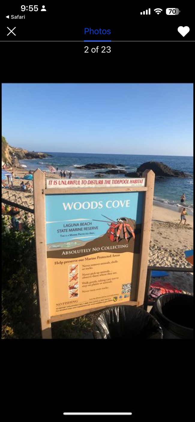 Photo - 2009 Glenneyre St