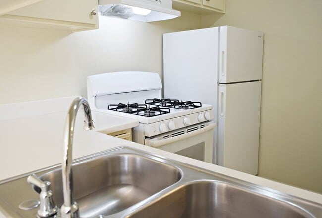 Photo - Downstairs North Park Apartment with Parki... Unit 3686 - B