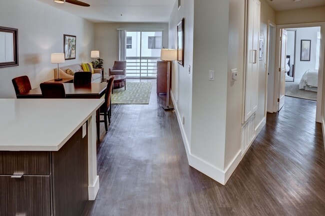 Photo - Museum Terrace