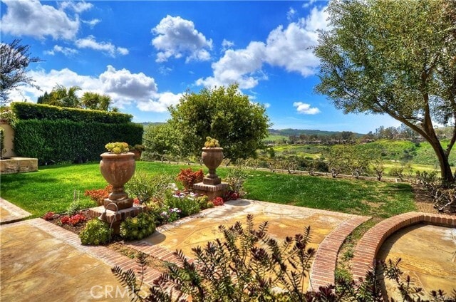 Photo - 23 Praire Grass