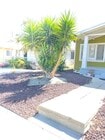 Photo - 3560 Opal St