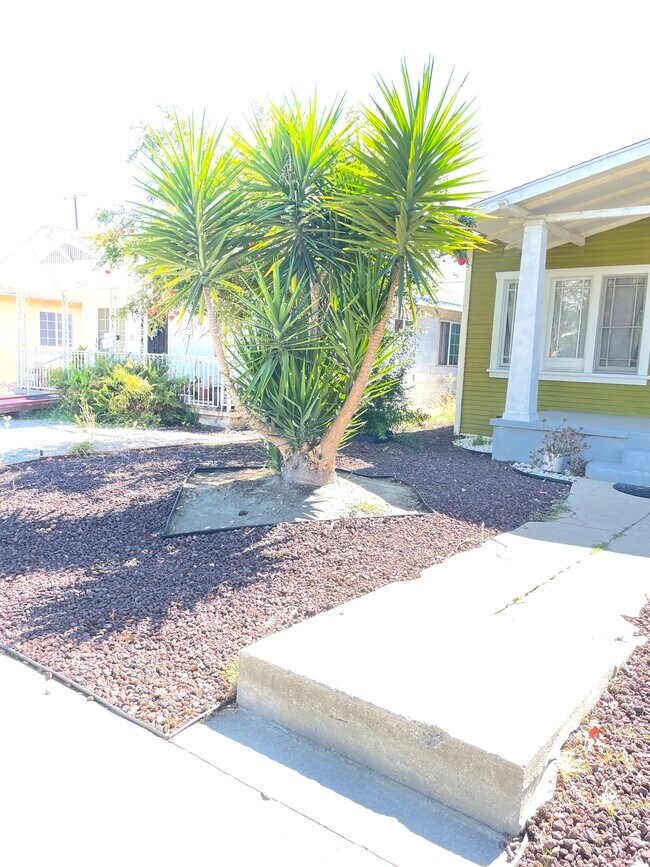 Photo - 3560 Opal St