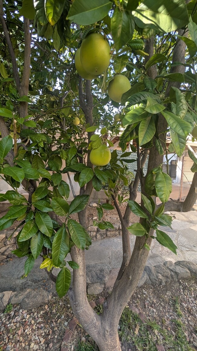 Photo - 3232 Brookhill St