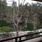 Photo - FURNISHED  1 bed/ 1 bath updated home in A...