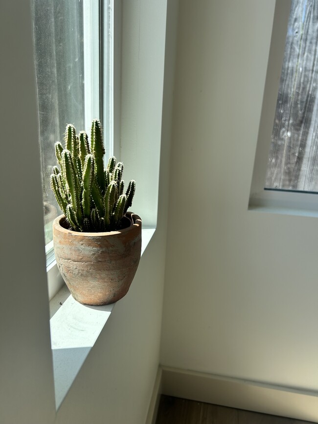 Photo - 7822 Toland Ave