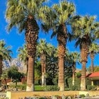 Photo - 2801 Los Felices Cir E Condo Unit D 107