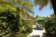 Photo - Palm Estates Apartments