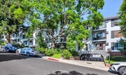 Photo - 1222 N Olive Dr Condo