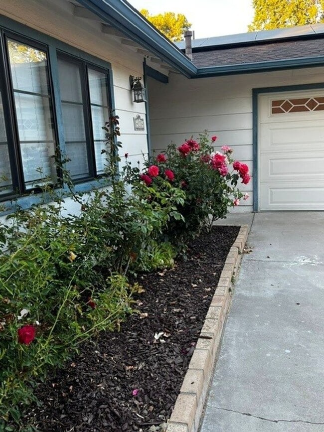 Photo - 133 Shadow Mountain Dr