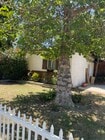 Photo - 6631 Bertrand Ave