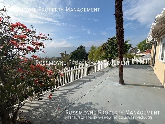 Photo - 4488 Rockland Pl