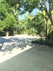 Patio / Garden - 1728 Mentone Ave