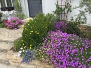 Photo - 226 W De La Guerra St