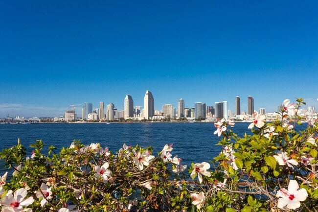 Building Photo - Charming Coronado Island 2 Bed/1 Bath Apartment ~ Close to All! Unit 08