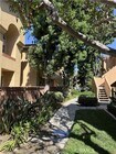 Photo - 68 Costero Aisle Unit 305