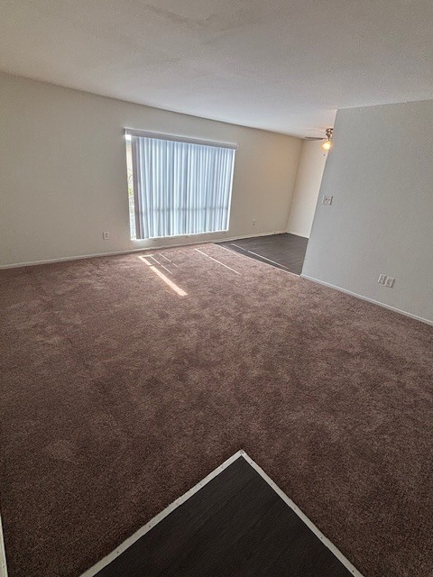 Entry/Living Room - Ace Apartments