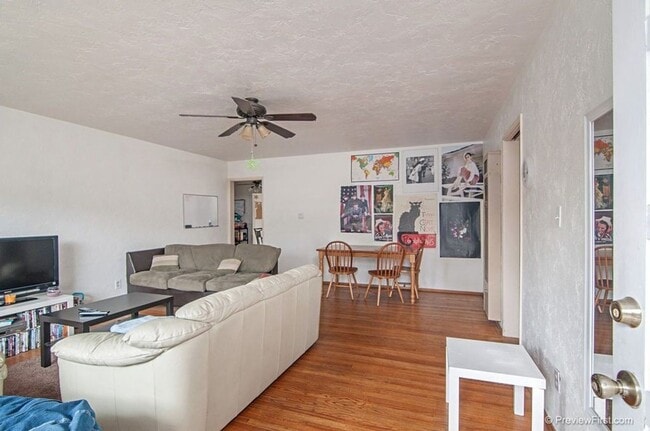 Photo - 5 Bedroom House in College East - Bright and Airy on Quiet Street!