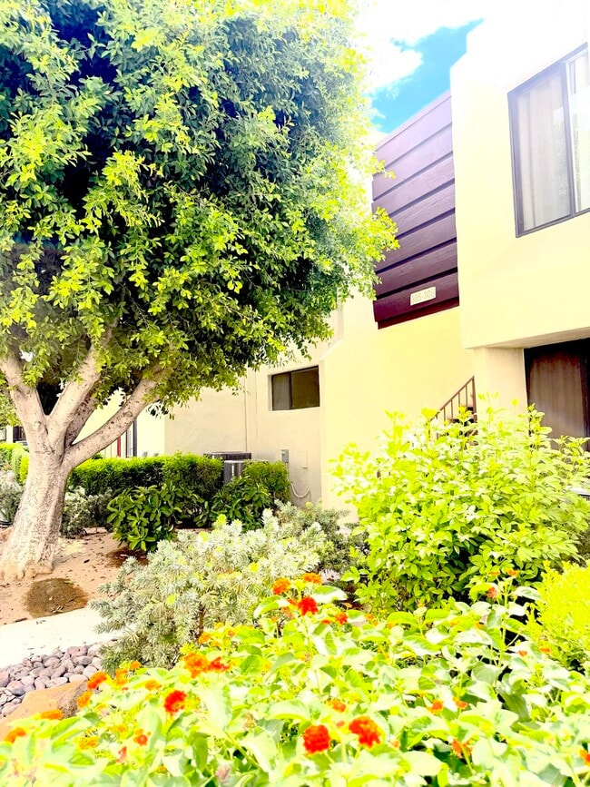 Photo - 1655 E Palm Canyon Dr Unit 307
