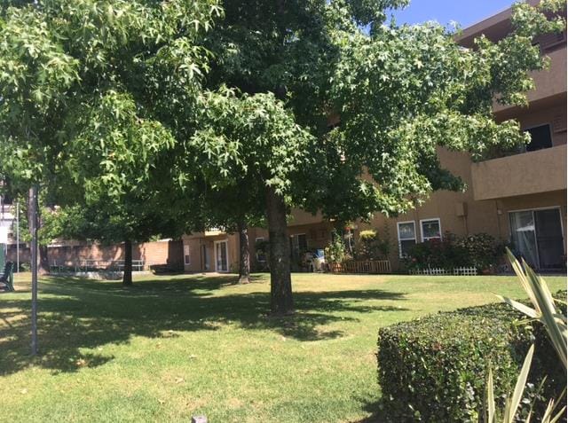 Photo - Reflections at Yosemite