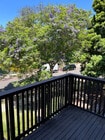 Photo - 2727 Miradero Dr Unit 204