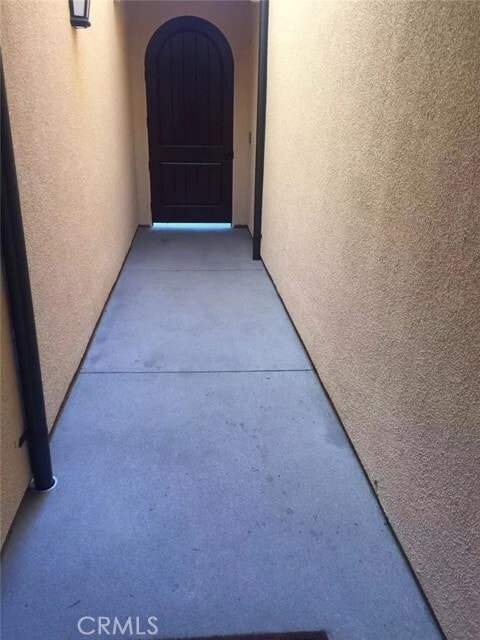 Photo - 146 Velvet Flower