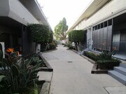 Photo - Venice Dreams