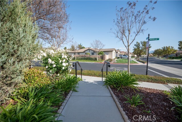 Photo - 7255 Roselai Ct