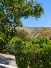 Photo - 730 Orange Dr