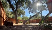 Photo - 1619 Oak Dr