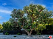 Photo - 13220 Erwin St